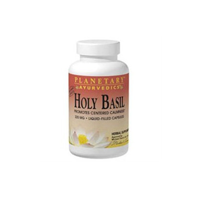 Planetary Herbals, Ayurvedics Holy Basil 1 fl oz