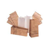 General 20 Kraft Paper Bag in Brown (Set of 2)