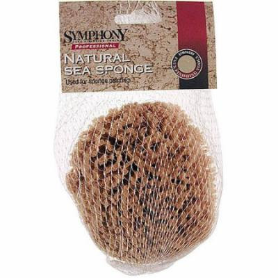 Symphony 031925-003 5