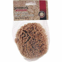 Symphony 031924-00 3