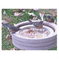 Songbird Essentials SE6017 Bird Bath Raft