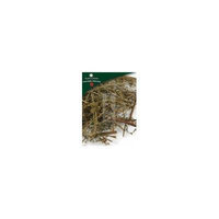 Qing Hao, unsulfured Artemisia annua herb Plum Flower®500 g/bag