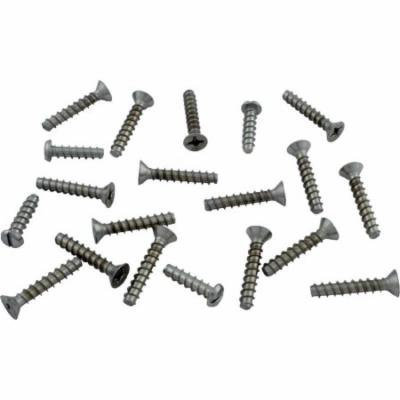 Hayward SPX1085Z1AM 1.25'' Long Self-Tapping Face Plate Screw Kit