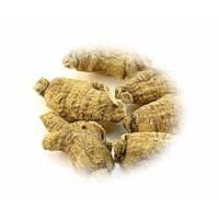 WOHO American Ginseng Economy Value Pack (Pick Your Weight by Ounce) (Short, Jumbo)