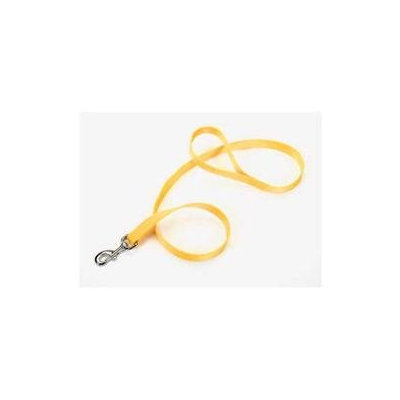 Coastal Pet Products DCP304RED Nylon Lead
