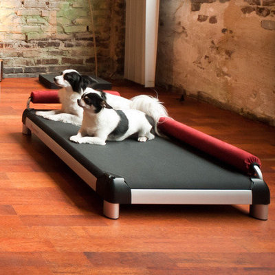 Doggysnooze Dutch Dog Dog Lounge