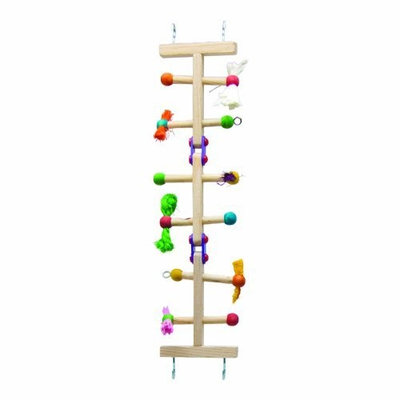 Super Pet Kaytee Avian Forage-N-Play Ladder