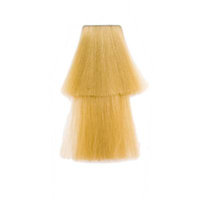 Goldwell Topchic Hair Color 2 + 1 (Can) 11GB Sahara Beige Blonde
