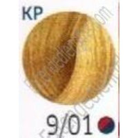 Wella Color Touch Multidimensional Demi-Permanent Color 1:2 9/01 Very Light Blonde/Natural Ash
