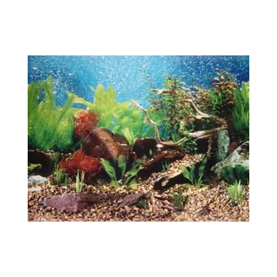 Penn Plax DB242 Shalescape / Tropical Blue