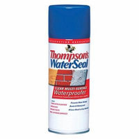 Thompson's Waterseal Clear Multi-Surface Waterproofer, Aerosol