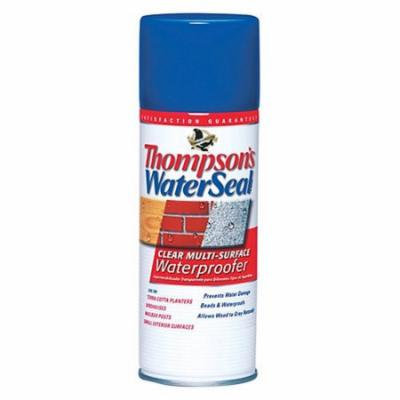 Thompson's Waterseal Clear Multi-Surface Waterproofer, Aerosol