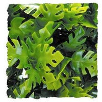 Zoo Med Laboratories - Plant - Amazon Phyllos- Green Small - BU-11