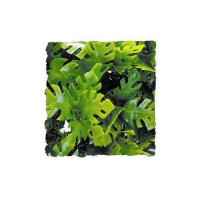 Zoo Med Laboratories - Plant - Amazon Phyllos- Green Small - BU-11