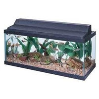 All Glass Aquarium AAG21230 30 in. Fluorescent Deluxe Black Hood