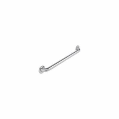 Wmu 1-1/2X12-in Grab Bar Stn S/S Expsd Mnt