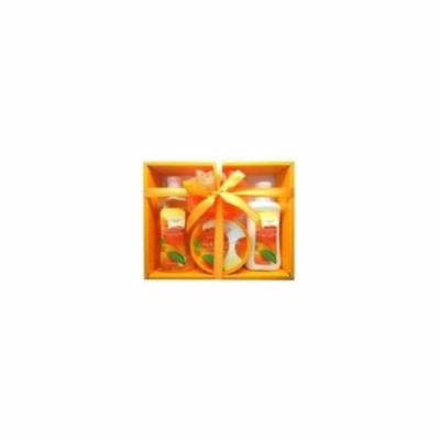 Le Vital Citrus & Mango Paradise 4pc Gift Set