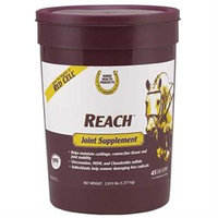 Farnam Company Farnam Co Horse Health Reach Joint Supplement 2.8 Pound