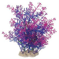 Pure Aquatics Pure Aquatic Natural Elements Lindernia Technicolor Aquarium Ornament in Purple