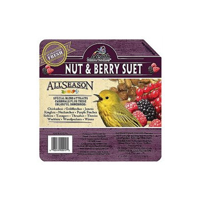 Heath Premium Nut And Berry Suet Cak - DD-17