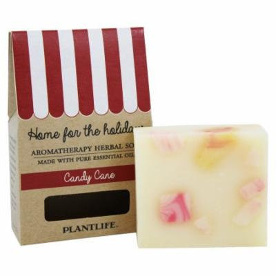 Plantlife Natural Body Care - Aromatherapy Herbal Bar Soap Candy Cane - 4.5 oz.
