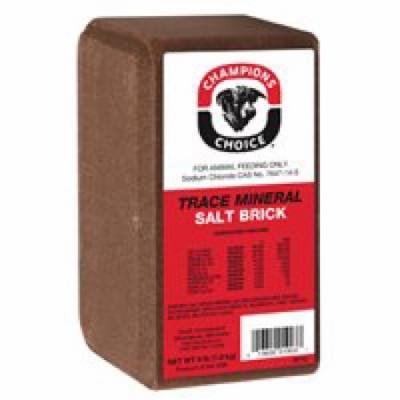 TRACE MINERAL SALT BRICK 4LB