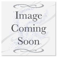 Swivel Grip Mop Handle W/Invader Head