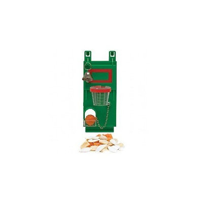 Super Pet Kaytee Habitat Defined Birdie Basketball Enrichment Toy for Pet Birds