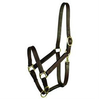 Choice Brands Gatsby Leather 203S/5 Stable Halter With Snap