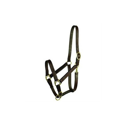 Choice Brands Gatsby Leather 203S/5 Stable Halter With Snap