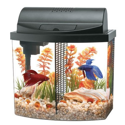 Aqueon Aquarium Betta-Bow 2.5 Gallon Acrylic Aquarium Kit