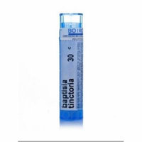 Baptisia Tinctoria 30 C MD Boiron 80 Pellet