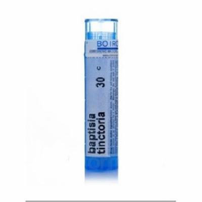 Baptisia Tinctoria 30 C MD Boiron 80 Pellet