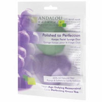 Polished to Perfection Konjac Facial Sponge Duo Andalou Naturals 2 pieces Pack
