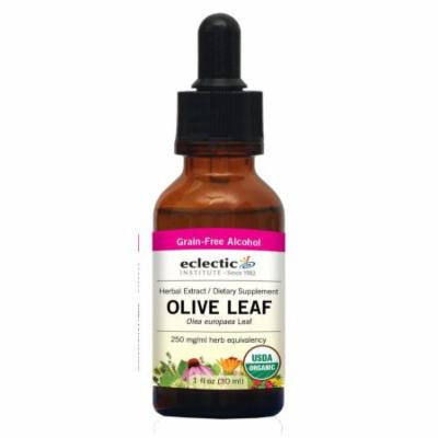 Olive Leaf Extract Eclectic Institute 1 oz Liquid