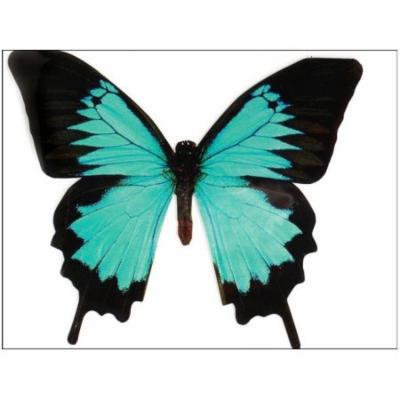 Paper House Diecut Card Butterfly Mountain Blue