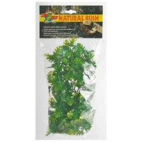 Zoo Med Laboratories - Plant - Amazon Phyllos- Green Medium - BU-21