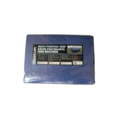 Sears 10X12 Medium Duty Blue Tarp T1012BB90 by Mintcraft