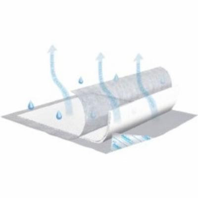 SCA Underpad Tena 30 X 36