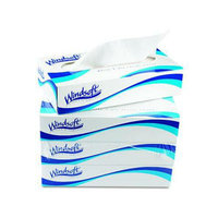 Windsoft Facial Tissue 2p 100 Sheets Boxed 6