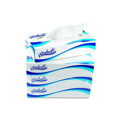 Windsoft Facial Tissue 2p 100 Sheets Boxed 6