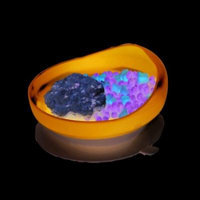 Scoop plate with suction cup base