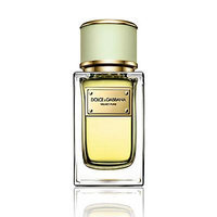 Dolce & Gabbana Velvet Pure/1.6 oz. - No Color