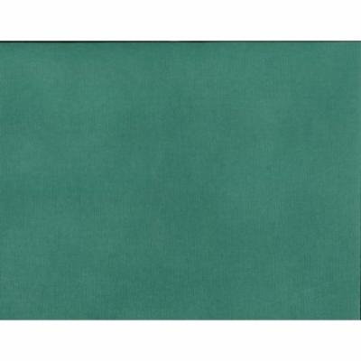 Silhouette Adhesive-backed Cardstock, Emerald