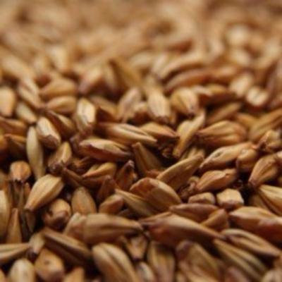 Chateau (Castle) Cara Blond Uncrushed Malt - 1 lb. Bag