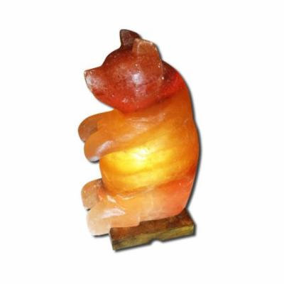 EVOLUTION SALT - Bear