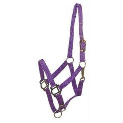 Gatsby Leather Gatsby Adjustable Nylon Halter w/Snap