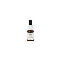Australian Bush Flower Essences: Bush Fuchsia Individual Essence