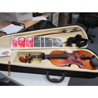 Cecilio CVA-500 13-Inch Ebony Fitted Solid Wood Viola