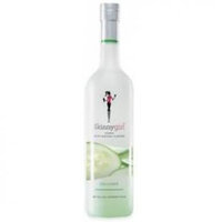 Skinny Girl Cucumber Martini
